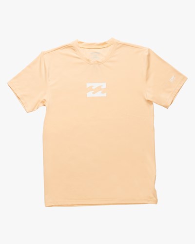 Billabong (2-7) All Day Wave Loose Fit Krátké Sleeve Surf Tee Dusty Melon | ITZHLP-428