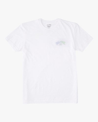 Billabong (2-7) Arch Fill Krátké Sleeve T-Shirt Bílé | BIWPAC-368