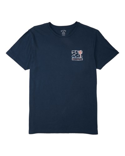 Billabong (2-7) BBTV2 Krátké Sleeve T-Shirt Tmavě Blankyt | YNCUFB-583
