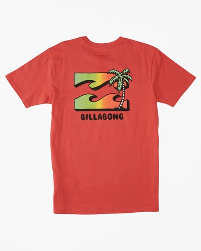 Billabong (2-7) BBTV Krátké Sleeve T-Shirt Koralove | JBFAGY-762
