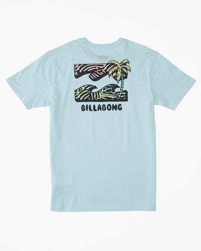 Billabong (2-7) BBTV Krátké Sleeve T-Shirt Coastal | QGDULN-327