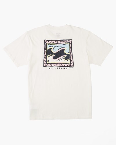Billabong (2-7) Crayon Wave Krátké Sleeve T-Shirt Bílé | EPFHVT-026