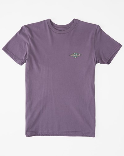 Billabong (2-7) Crayon Wave Krátké Sleeve T-Shirt Fialové | XQHSKG-971