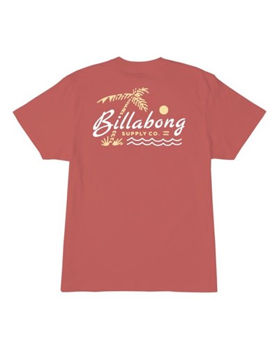 Billabong (2-7) Social Lounge Krátké Sleeve T-Shirt Růžové | ATGHEC-903
