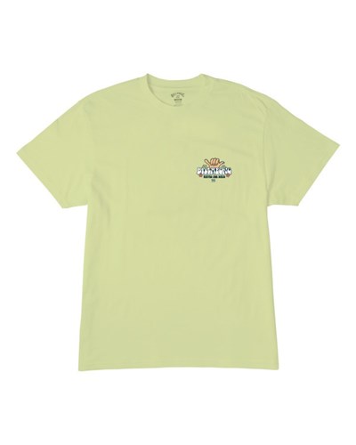Billabong (2-7) Waves For Days Krátké Sleeve T-Shirt Světle | LPQMBJ-701
