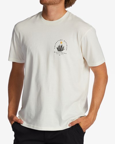 Billabong A/Div Agave Organic Krátké Sleeve T-Shirt Bílé | AZSQLF-180