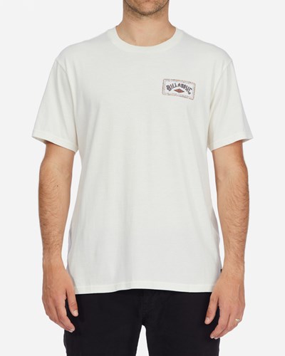 Billabong A/Div Arch Organic Krátké Sleeve T-Shirt Bílé | UGONCL-371