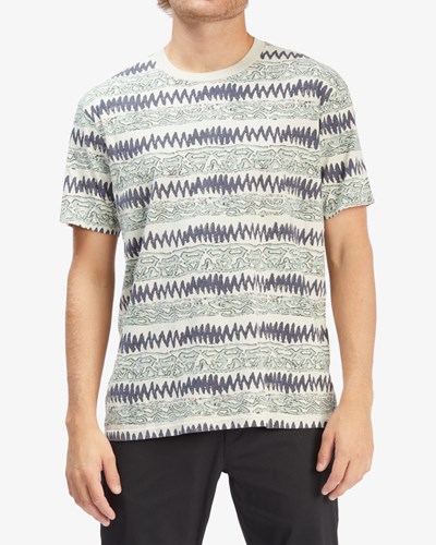 Billabong A/Div Halfrack Krátké Sleeve T-Shirt Moon | TGMSLA-395