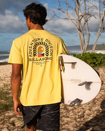 Billabong A/Div Ingress Organic Krátké Sleeve T-Shirt Světle | FTVBGM-812