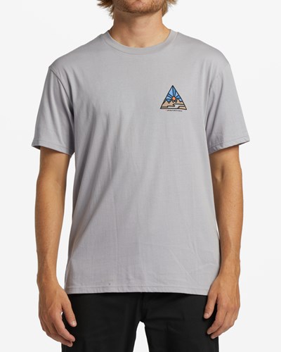Billabong A/Div Shine Krátké Sleeve T-Shirt Šedé | YWXJRP-641