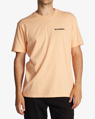 Billabong A/Div Shine Krátké Sleeve T-Shirt Sherbet | ZJARTG-581