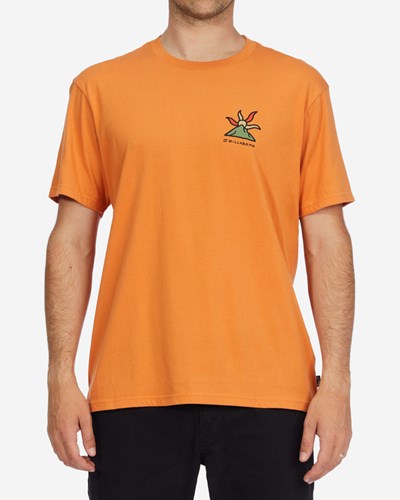 Billabong A/Div Shine Organic Krátké Sleeve T-Shirt Meruňka | DILAZJ-947