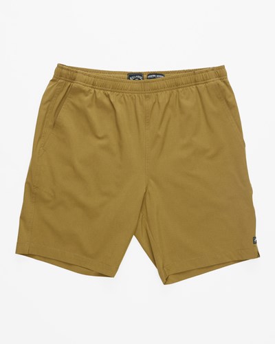 Billabong A/Div Transport Elastic Pasem Shorts 18" Nutmeg | AOPJHN-728