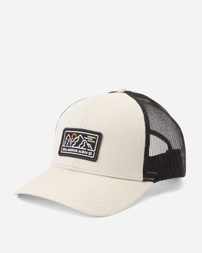 Billabong A/Div Walled Trucker Hat Birch | YVLUOT-401