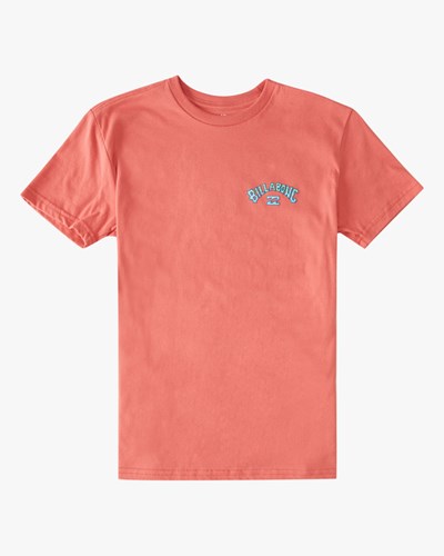 Billabong Arch Fill Krátké Sleeve T-Shirt Růžové | FHDORU-049