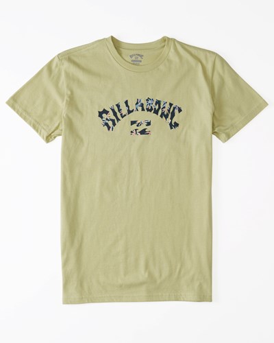 Billabong Arch Fill Krátké Sleeve T-Shirt Světle | LFNVJQ-483
