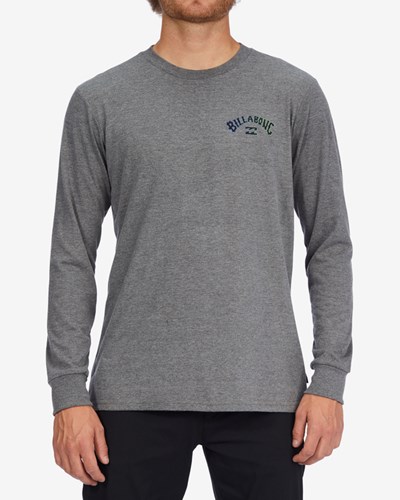Billabong Arch Fill Long Sleeve T-Shirt Šedé | QEBVWR-593