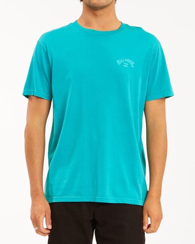Billabong Arch Wave Washed Krátké Sleeve T-Shirt Teal | DKEIYO-872