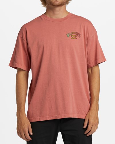 Billabong Arch Wave Washed Krátké Sleeve T-Shirt Koralove | ZYHLVR-792