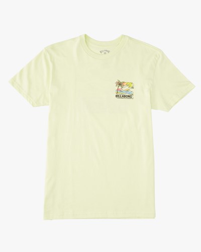 Billabong BBTV Krátké Sleeve T-Shirt Světle Zelene | OVGXDM-750