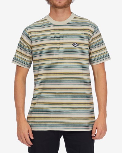 Billabong Baja Krátké Sleeve T-Shirt Chino | HCNFYE-394