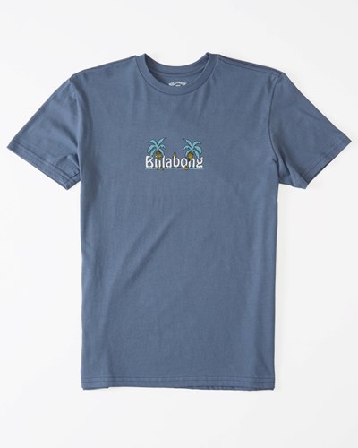 Billabong Chest Pack Krátké Sleeve T-Shirt Blankyt | YVNPRA-097