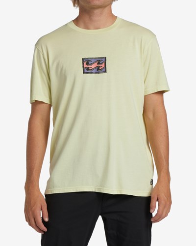 Billabong Chest Wave Washed Krátké Sleeve T-Shirt Světle Zelene | JIGDKN-972