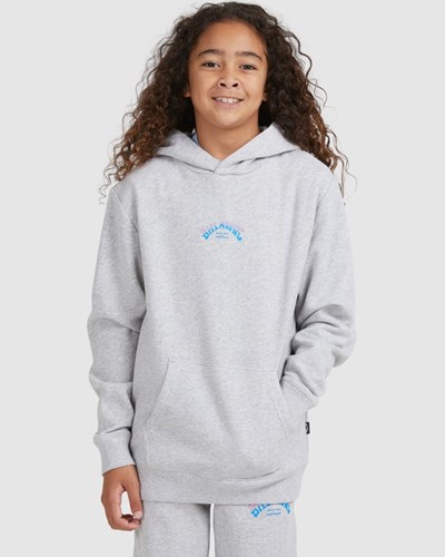 Billabong Core Arch Pullover Hoodie Světle Šedé | LTFEWX-842