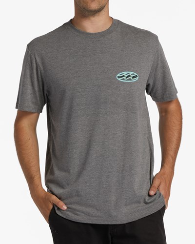 Billabong Crayon Wave Krátké Sleeve T-Shirt Šedé | OJLXFW-916