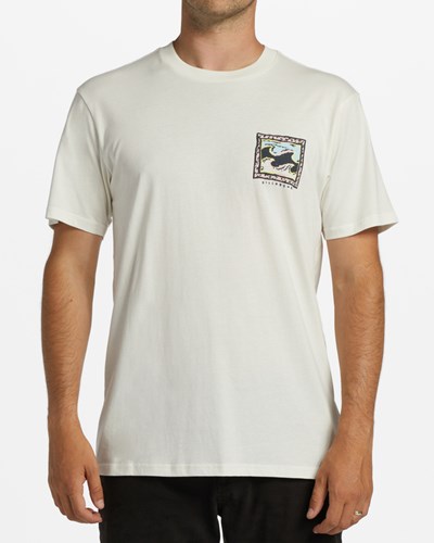 Billabong Crayon Wave Krátké Sleeve T-Shirt Bílé | TEDBRM-013