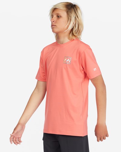 Billabong Crayon Wave Loose Fit Krátké Sleeve Surf Tee Koralove | JLPCBG-461