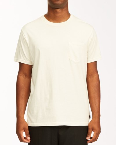 Billabong Essential Pocket Wave Washed T-Shirt Bílé | LSGOEB-374