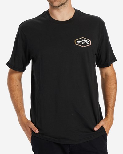 Billabong Exit Arch Krátké Sleeve T-Shirt Černé | OFLTSR-391