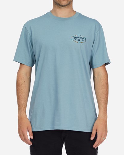 Billabong Exit Arch Krátké Sleeve T-Shirt Blankyt | TEKZVI-641