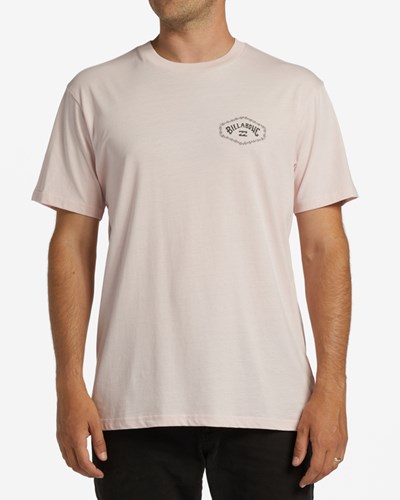Billabong Exit Arch Krátké Sleeve T-Shirt Růžové | WATGJS-534
