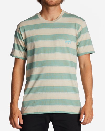 Billabong Hector Krátké Sleeve T-Shirt Chino | ZXMBWC-287