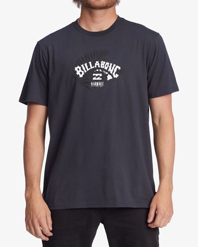 Billabong Kamea Arch Chain Krátké Sleeve T-Shirt Černé | RIZHPB-268