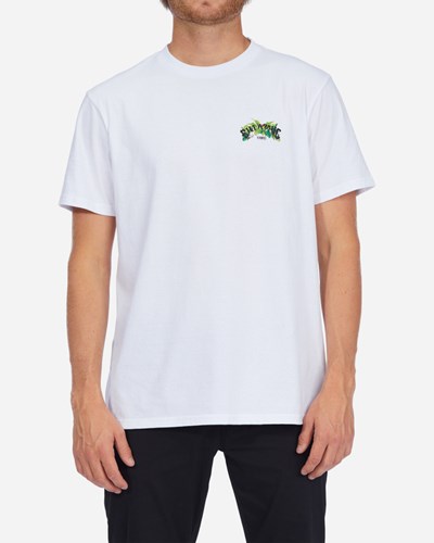 Billabong Kamea Arch Jungle Krátké Sleeve T-Shirt Bílé | AFISHR-640