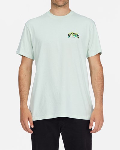Billabong Kamea Arch Jungle Krátké Sleeve T-Shirt Seaglass | MDKQAU-578