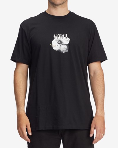 Billabong Kamea Hawaii Krátké Sleeve T-Shirt Černé | YDVOGT-432