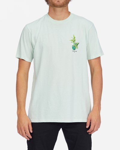 Billabong Kamea Jungle Krátké Sleeve T-Shirt Seaglass | KLYSND-728
