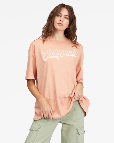 Billabong Land Of Milk And Honey Boyfriend T-Shirt Růžové | SXNUPK-039