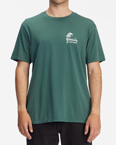 Billabong Leaves Wave Washed Krátké Sleeve T-Shirt Alpine | DFHEKQ-146