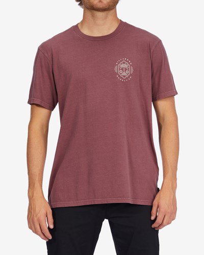 Billabong Light Wave Washed Krátké Sleeve T-Shirt Oxblood | EHATUZ-281