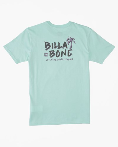 Billabong Lounge Krátké Sleeve T-Shirt Mátově Zelená | JBTNEP-602