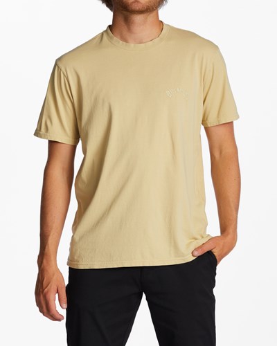 Billabong Mesa Wave Washed Organic Krátké Sleeve T-Shirt Straw | TFZKNM-612