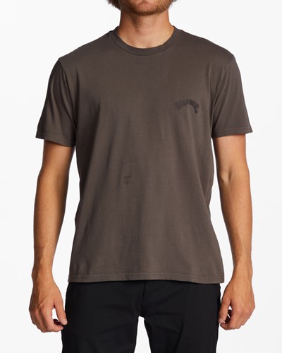 Billabong Mesa Wave Washed Organic Krátké Sleeve T-Shirt Asphalt | UXLCMQ-714