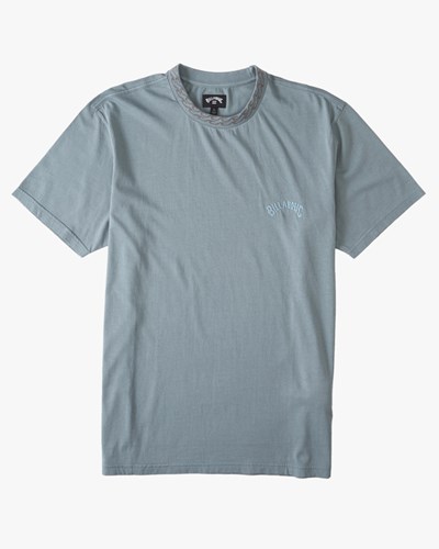 Billabong Mesa Wave Washed Organic Krátké Sleeve T-Shirt Blankyt | XEAWSG-841