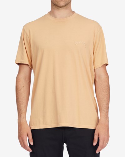 Billabong Mesa Wave Washed Organic Krátké Sleeve T-Shirt Růžové | XZLTDU-861