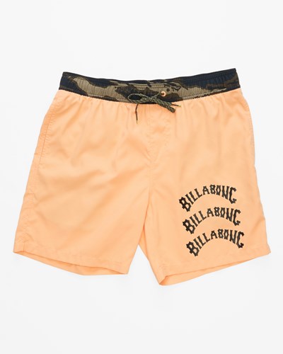 Billabong Offcuts Melon Layback Boardshorts 17" Melon | VFIORM-269